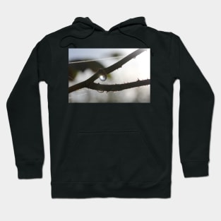 September Dew Hoodie